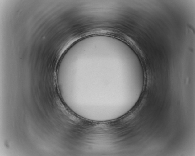 X0000099531178200805160718