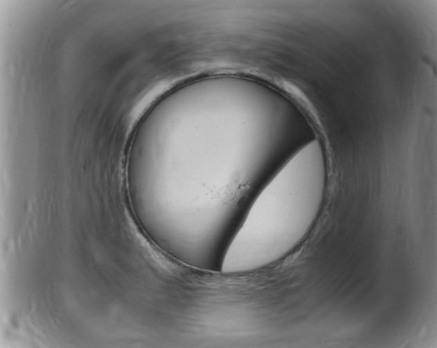 X0000099531183200805160718