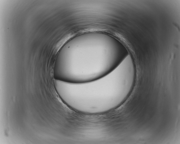 X0000099531185200805160718