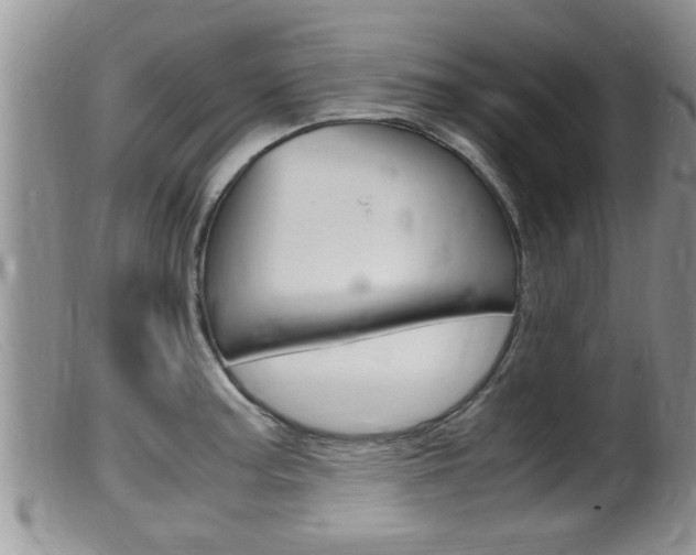 X0000099531187200805160718