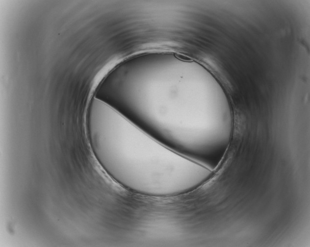X0000099531196200805160718