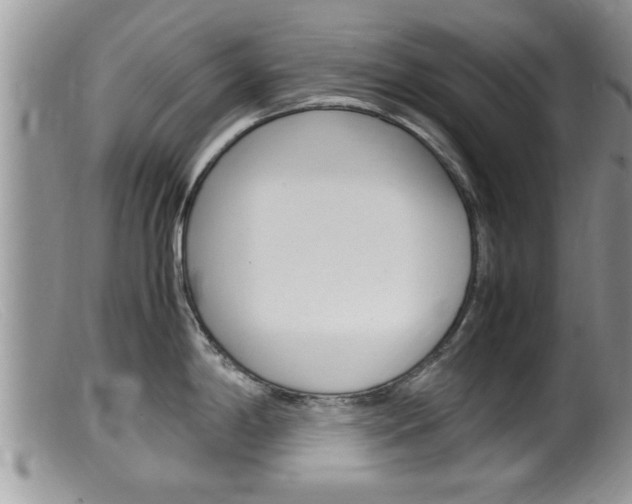 X0000099531198200805160718