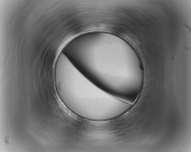 X0000099531200200805160718