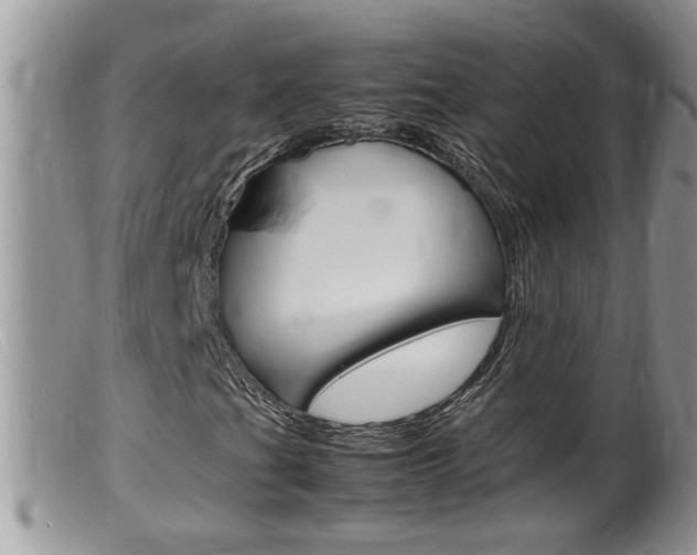 X0000099531201200805160717