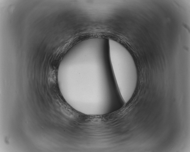 X0000099531204200805160717