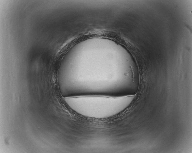 X0000099531206200805160717