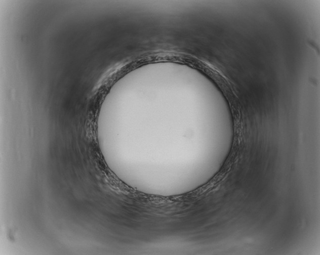 X0000099531207200805160717