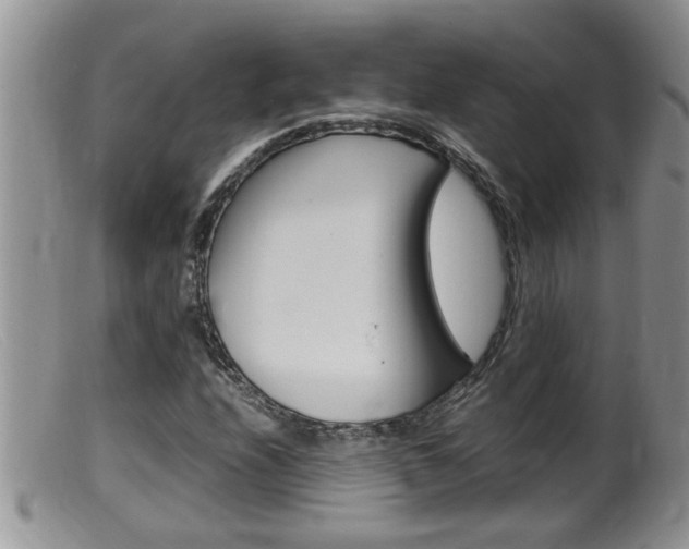 X0000099531208200805160717