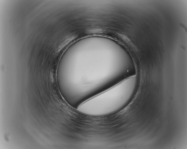 X0000099531209200805160717