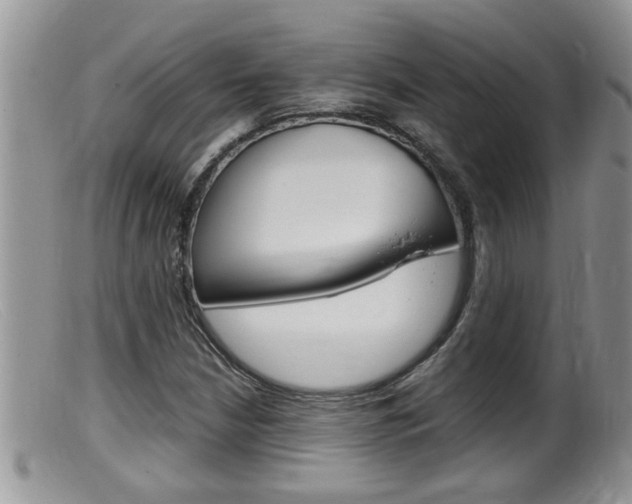 X0000099531210200805160717