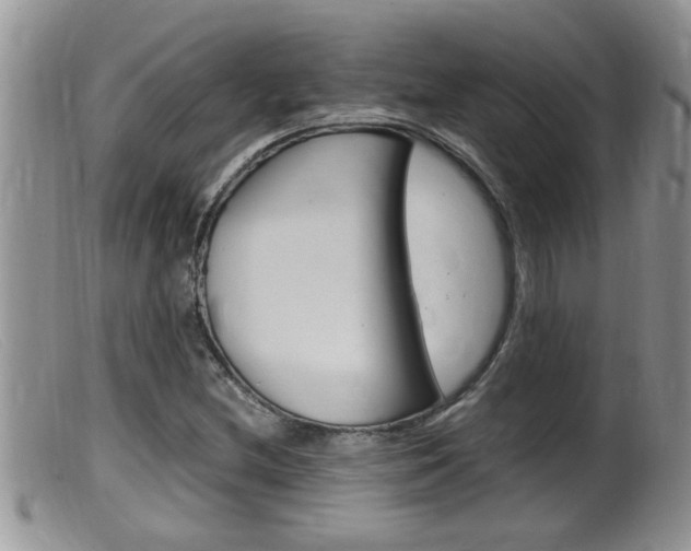 X0000099531212200805160717
