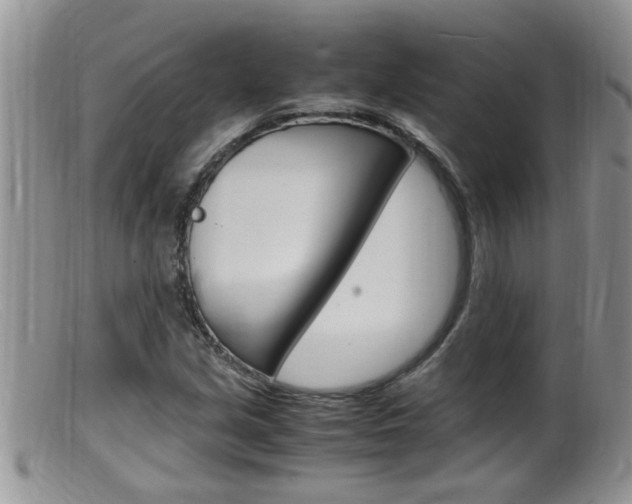 X0000099531213200805160717