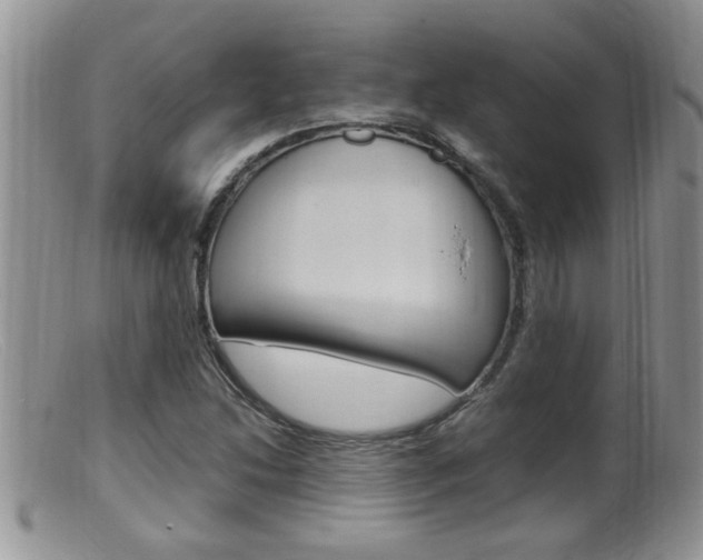 X0000099531214200805160717