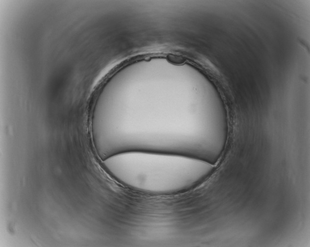X0000099531216200805160717