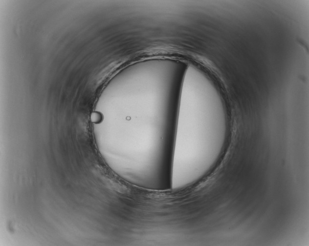 X0000099531217200805160717