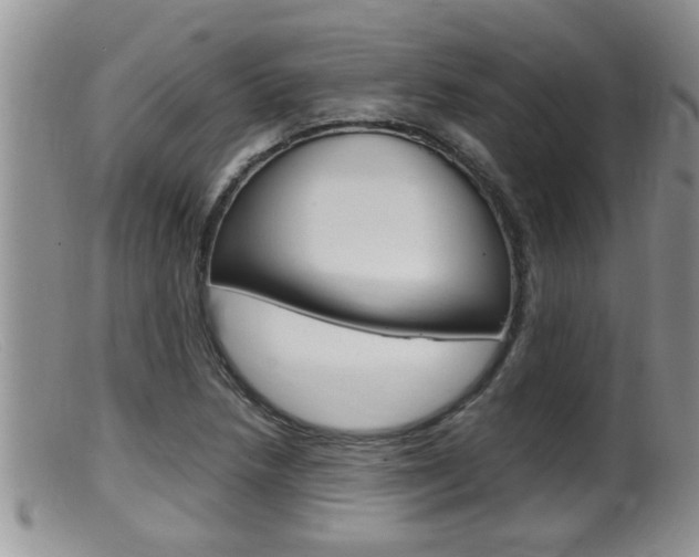 X0000099531218200805160717