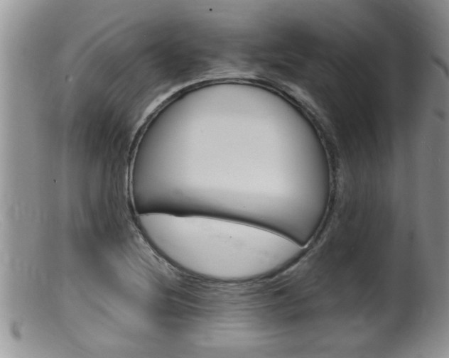 X0000099531220200805160717