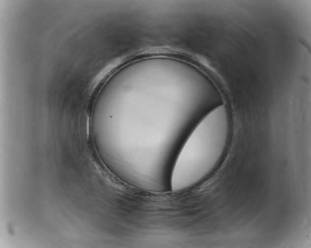 X0000099531221200805160717