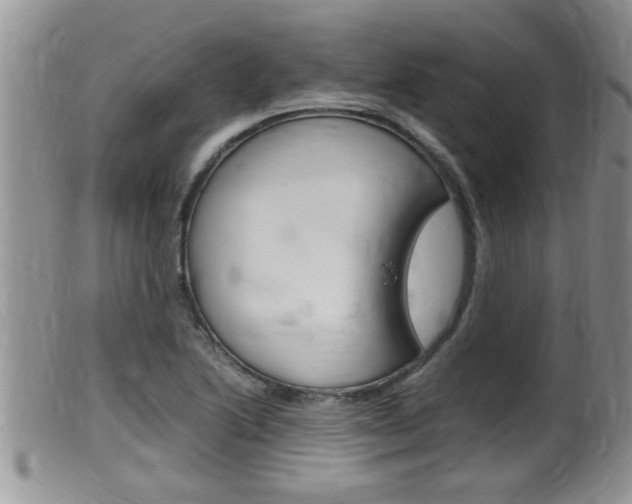 X0000099531222200805160717