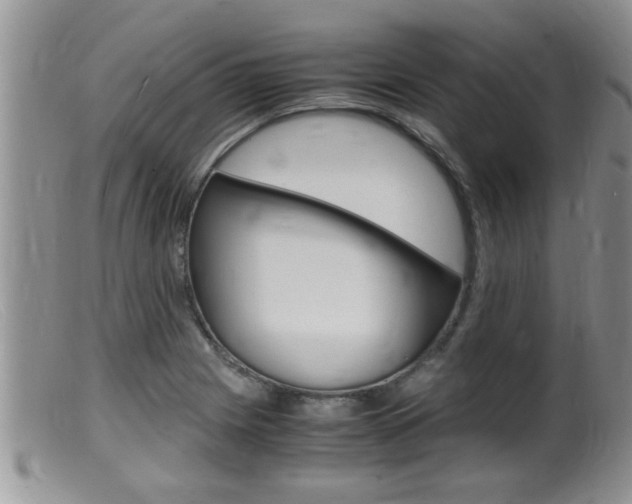 X0000099531225200805160717