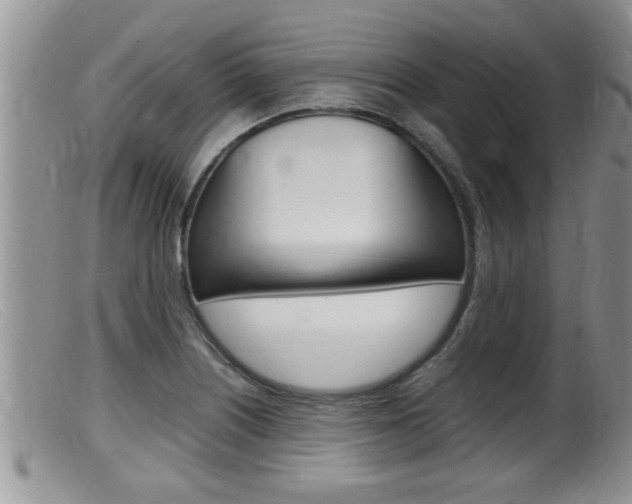 X0000099531226200805160717