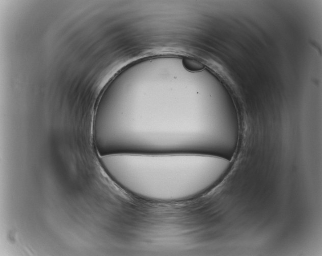 X0000099531228200805160717