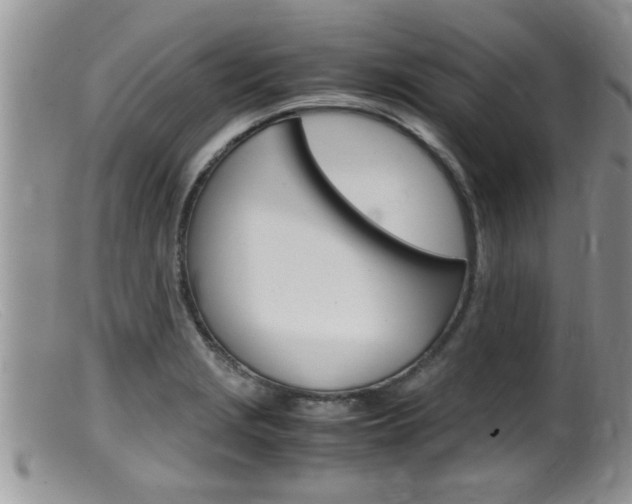 X0000099531229200805160717