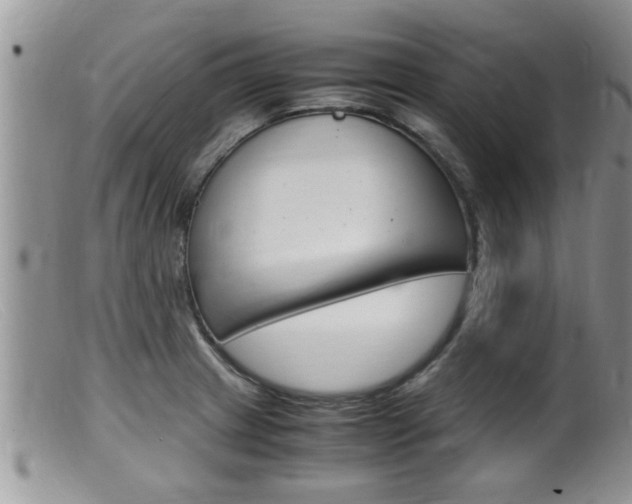 X0000099531233200805160717