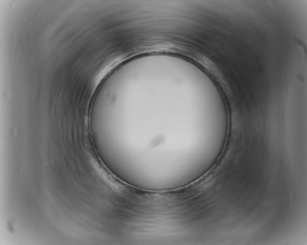 X0000099531234200805160717
