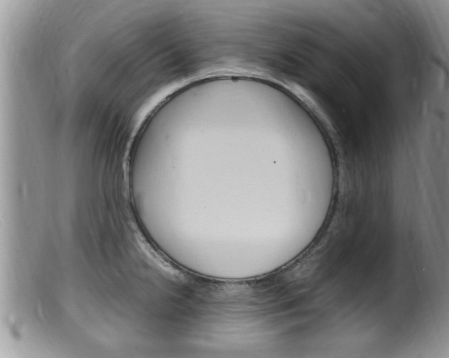 X0000099531238200805160717