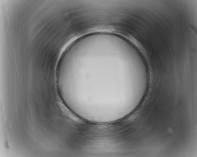 X0000099531240200805160717