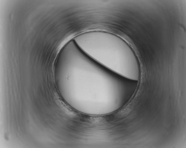 X0000099531242200805160717