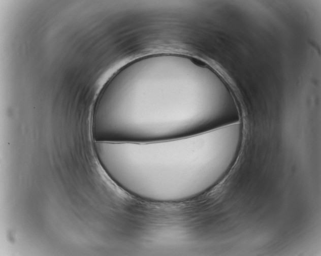 X0000099531246200805160718