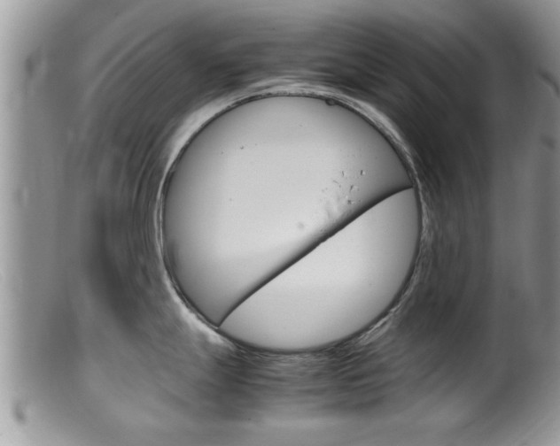 X0000099531247200805160718