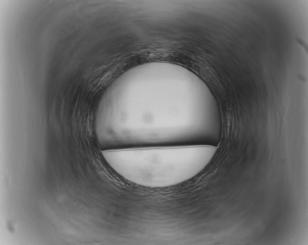 X0000099531250200805160717