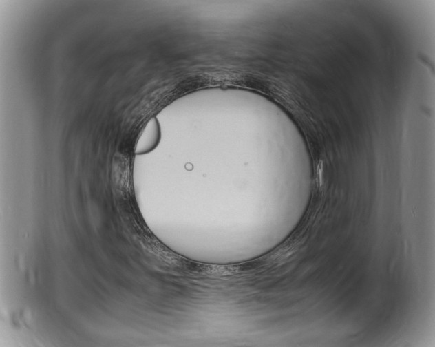 X0000099531251200805160717