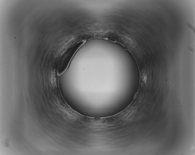 X0000099531252200805160717