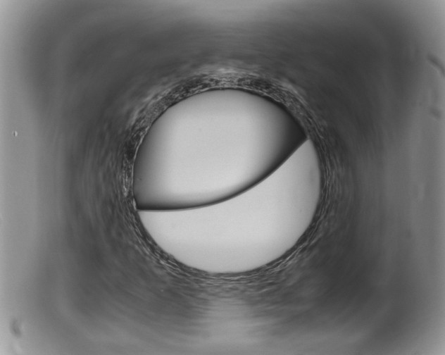 X0000099531253200805160717