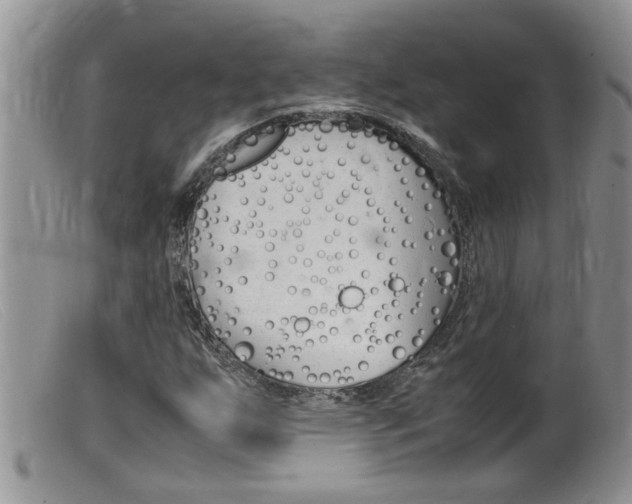 X0000099531255200805160717