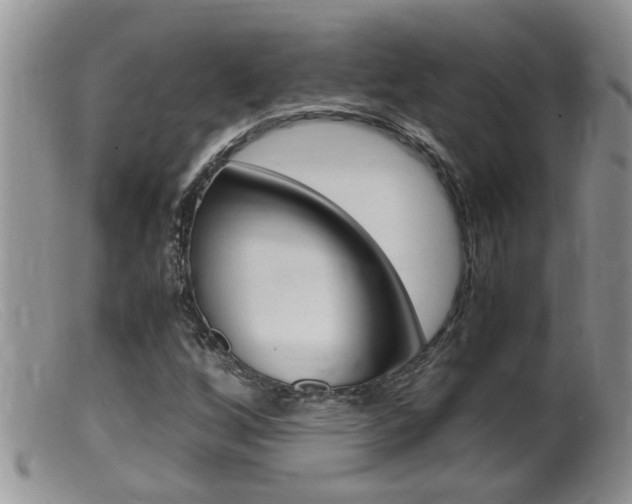 X0000099531256200805160717