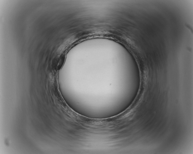 X0000099531257200805160717
