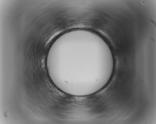 X0000099531258200805160717