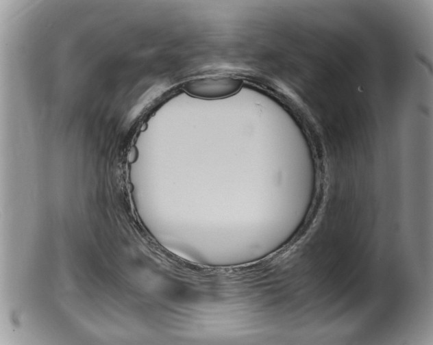 X0000099531259200805160717