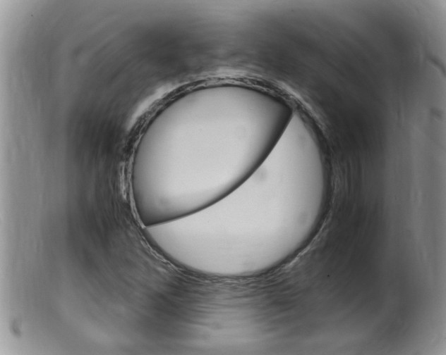 X0000099531262200805160717