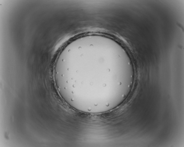 X0000099531263200805160717