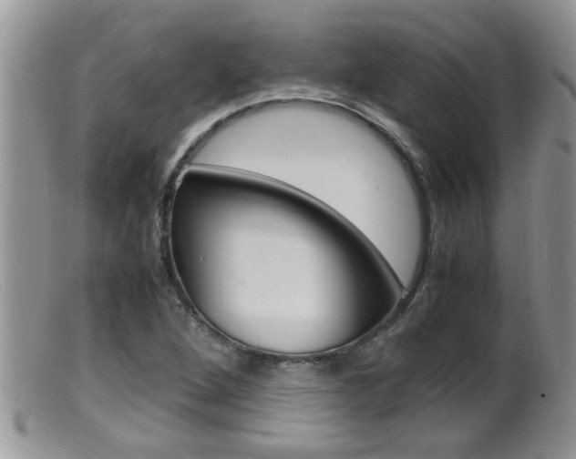 X0000099531264200805160717