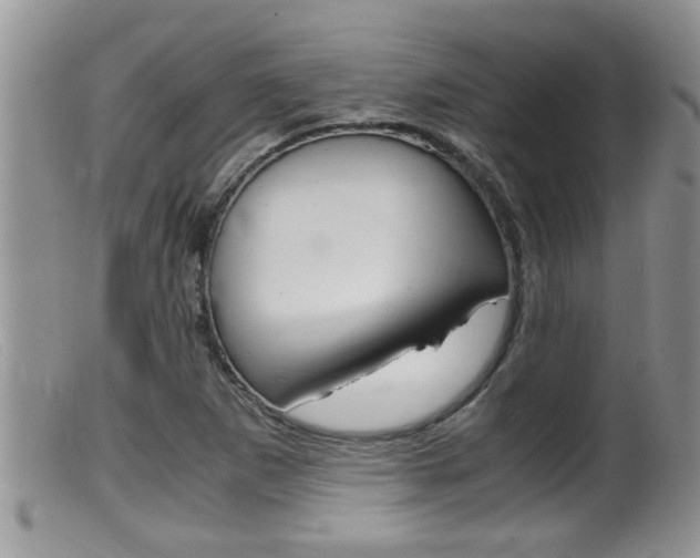 X0000099531265200805160717