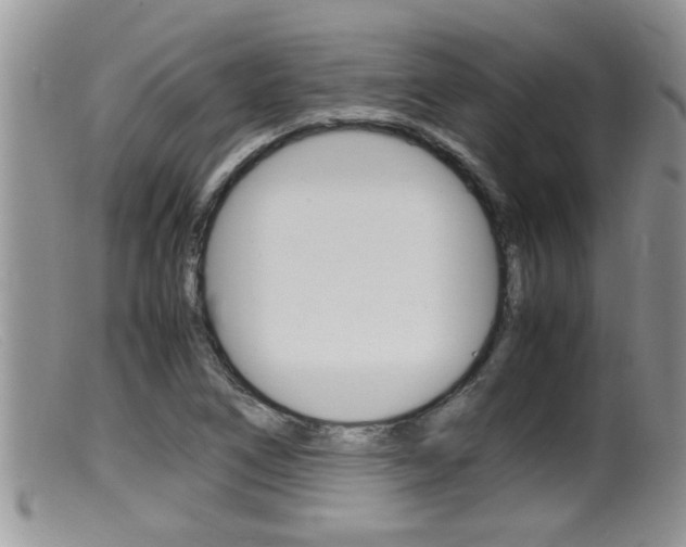 X0000099531266200805160717