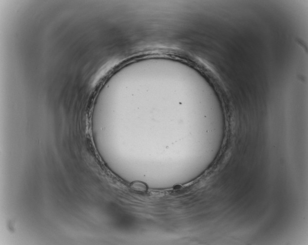 X0000099531267200805160717