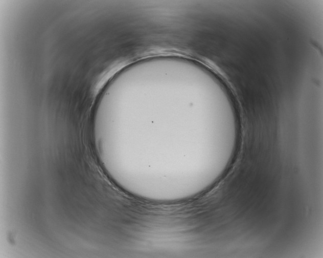 X0000099531269200805160716